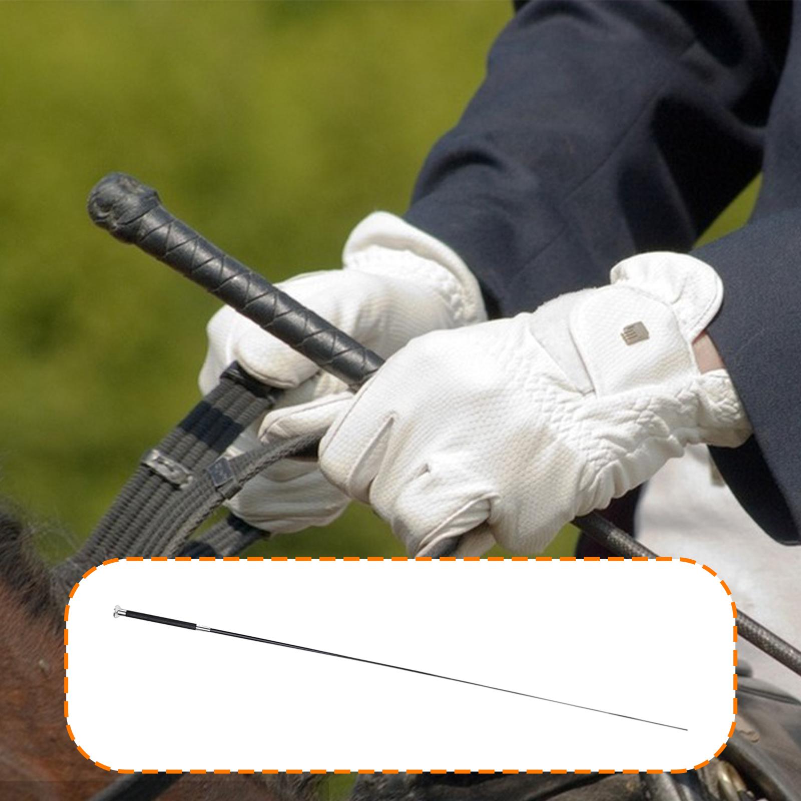 Metal Nylon PU Riding Crop Tel - Riding Crop Dressage ulasan dan harga