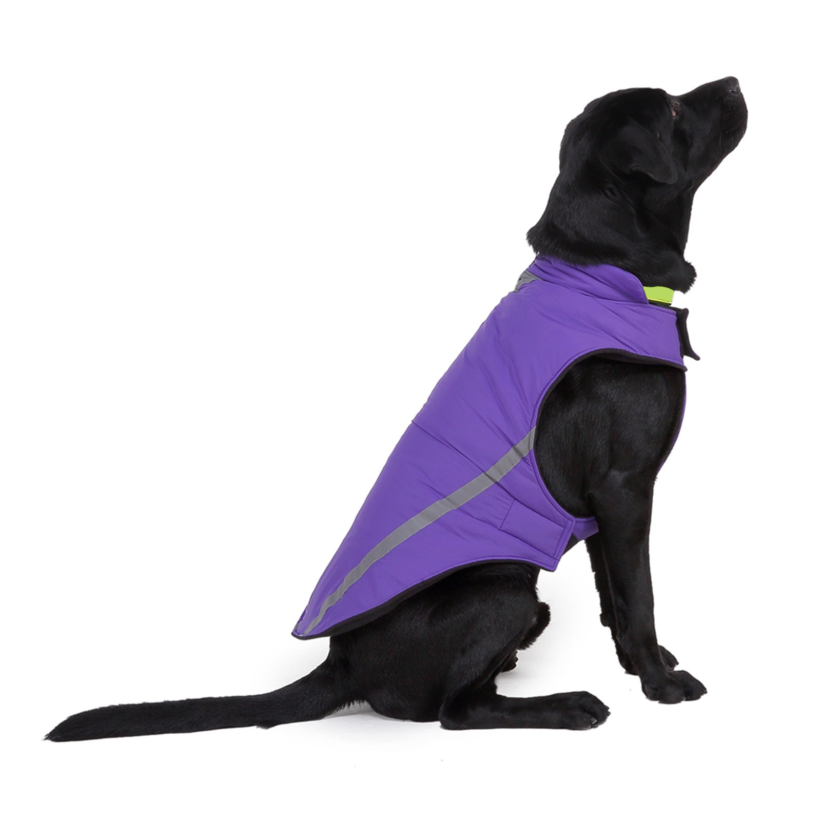 Pet Reflective Coat Dog Rain J - Outdoor Sport Coat ulasan dan harga