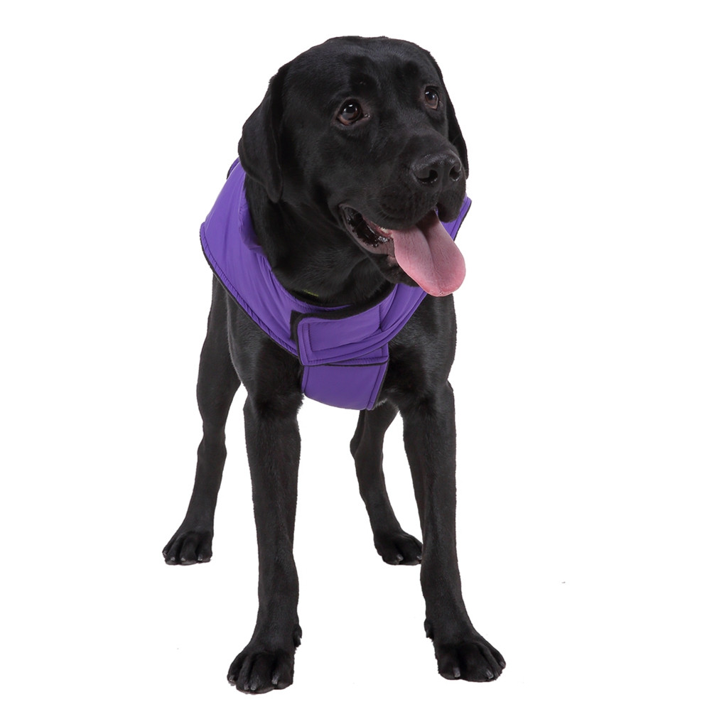 Pet Reflective Coat Dog Rain J - Outdoor Sport Coat ulasan dan harga
