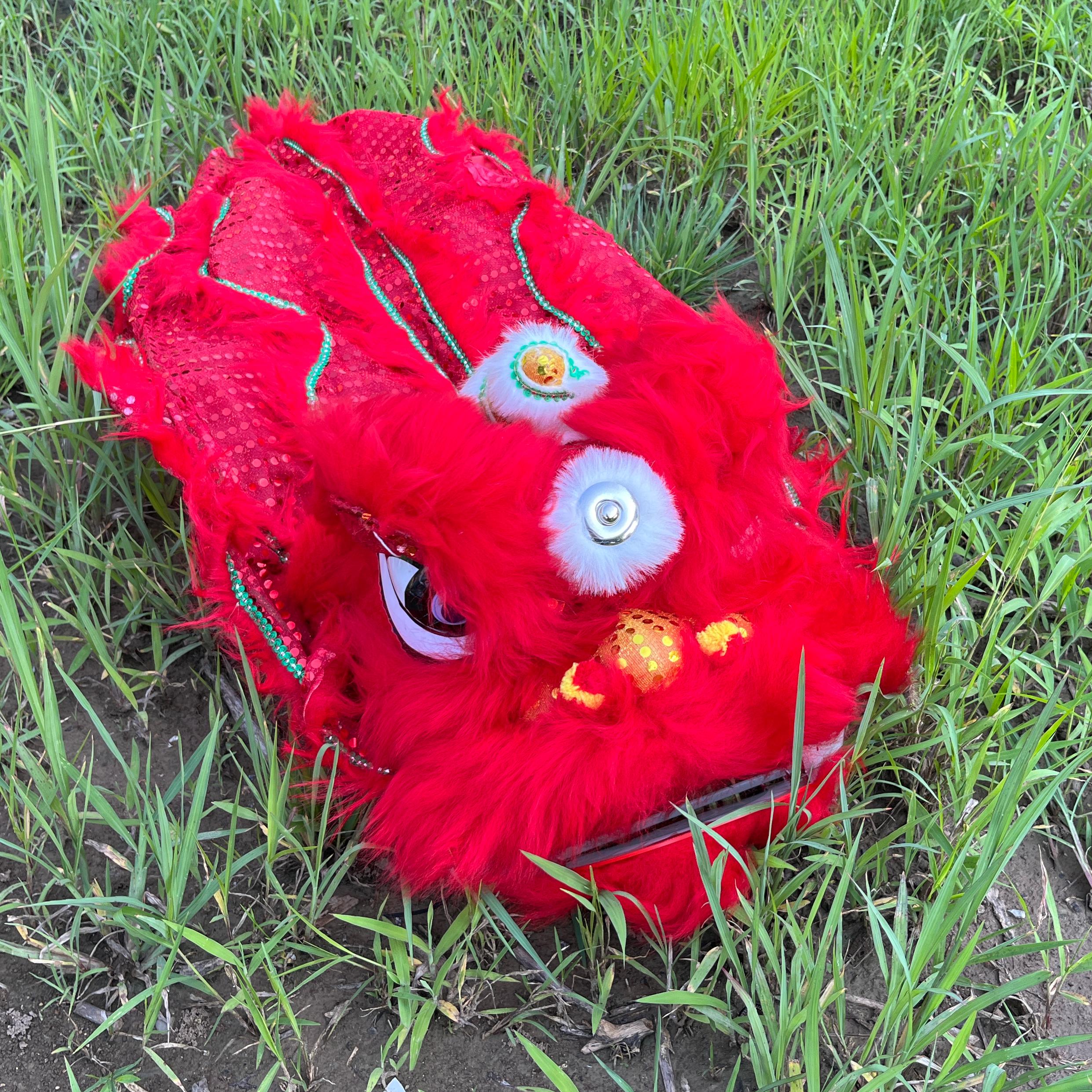 14 inch Lion Dance Costume  Ro - Outdoor Sport Festival ulasan dan harga