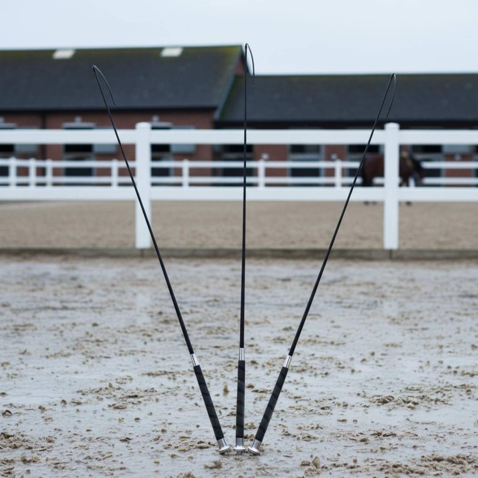 3 Pieces Dressage Training Whi - Riding Crop Dressage ulasan dan harga